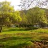 PAJAS Y MAS EN CALA NUDISTA DE LA SIERRA DE MADRID (3 junio 12:00)